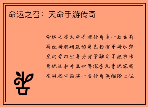 命运之召：天命手游传奇