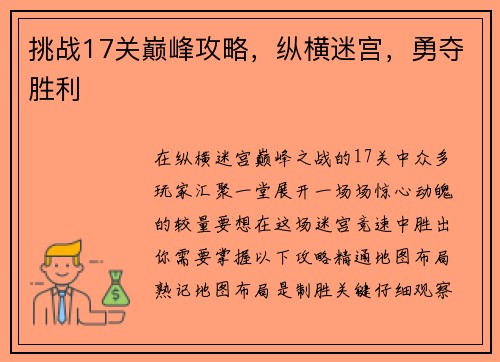 挑战17关巅峰攻略，纵横迷宫，勇夺胜利