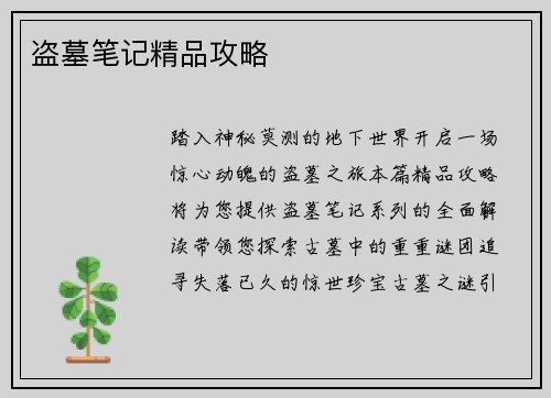盗墓笔记精品攻略